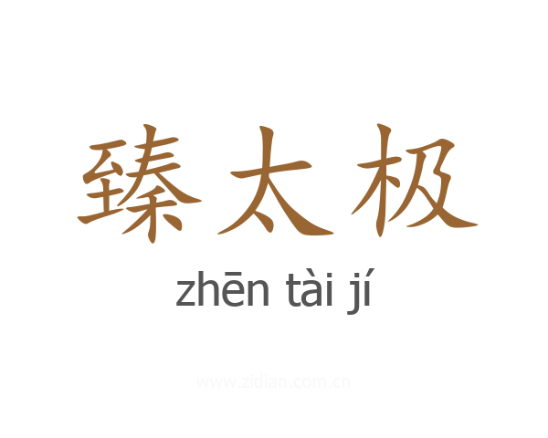 臻太极