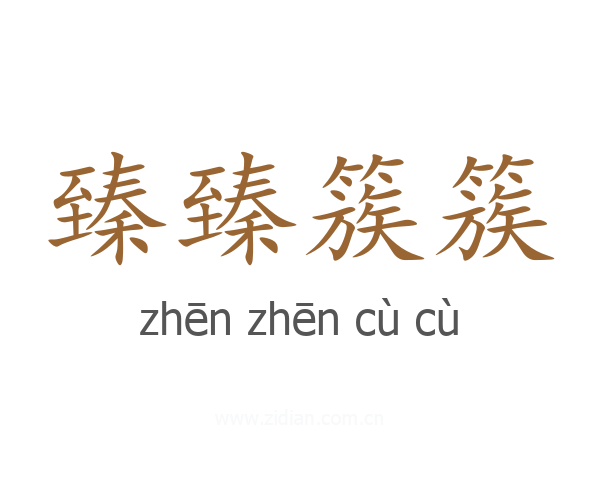 臻臻簇簇