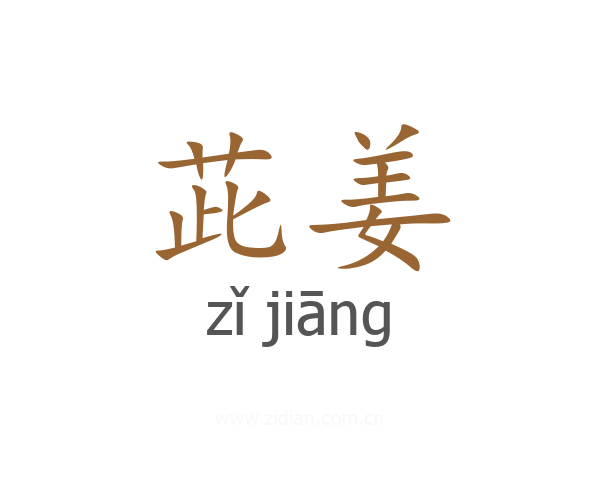 茈姜