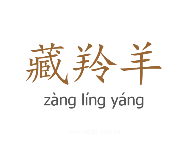 藏羚羊