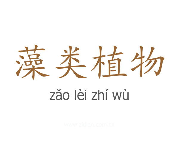 藻类植物