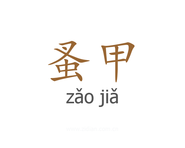 蚤甲