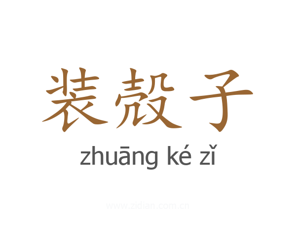装殻子