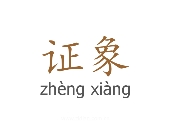 证象