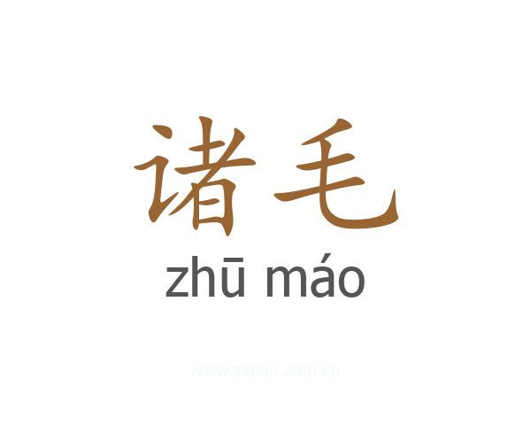 诸毛