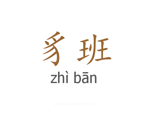 豸班
