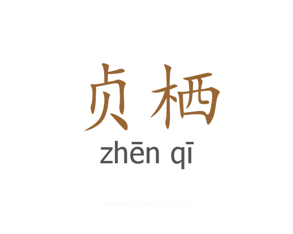贞栖