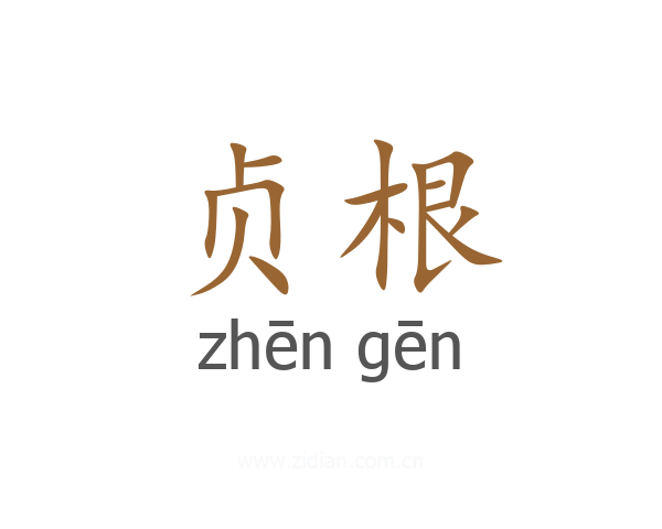 贞根