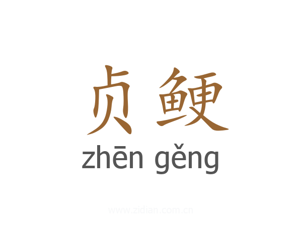 贞鲠