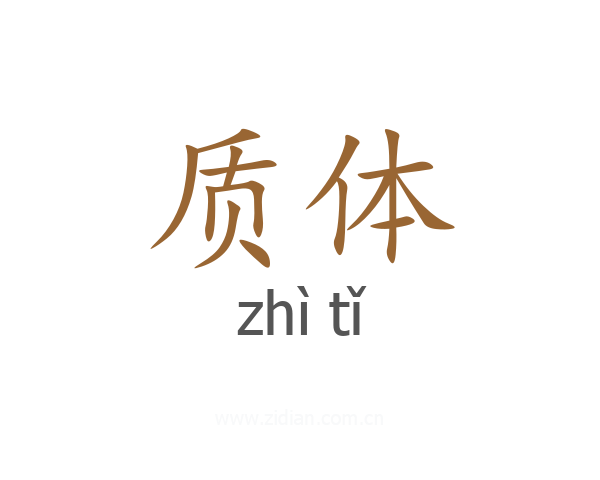质体