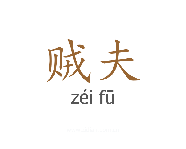 贼夫