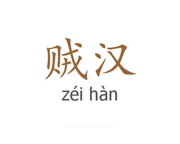贼汉