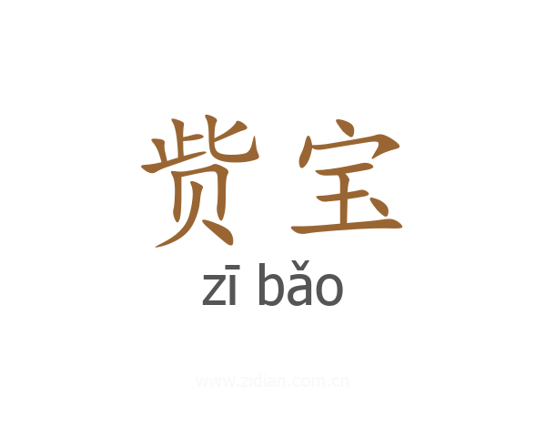 赀宝