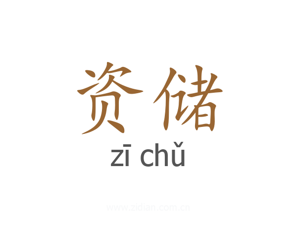 资储