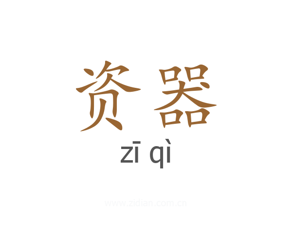 资器