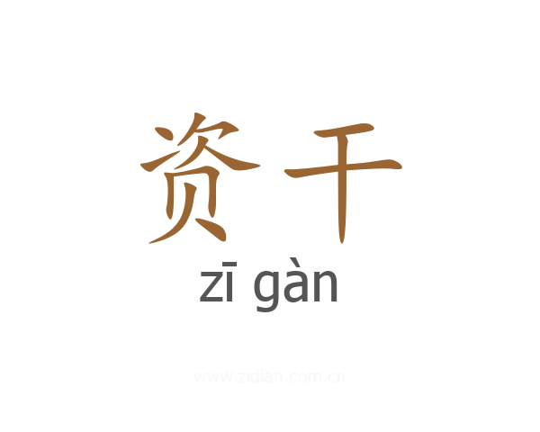 资干