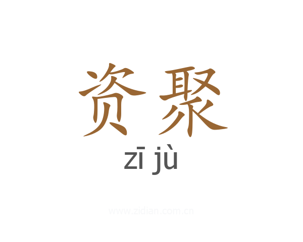 资聚