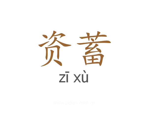 资蓄
