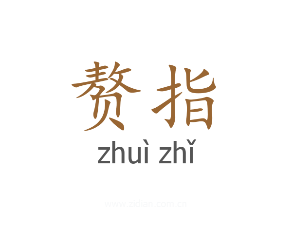 赘指