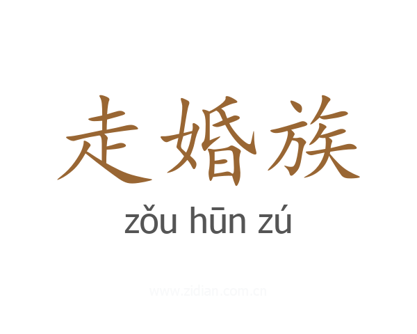 走婚族