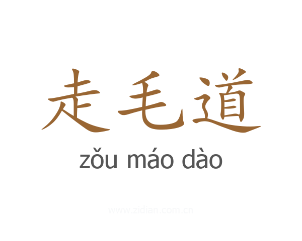 走毛道