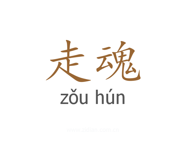 走魂