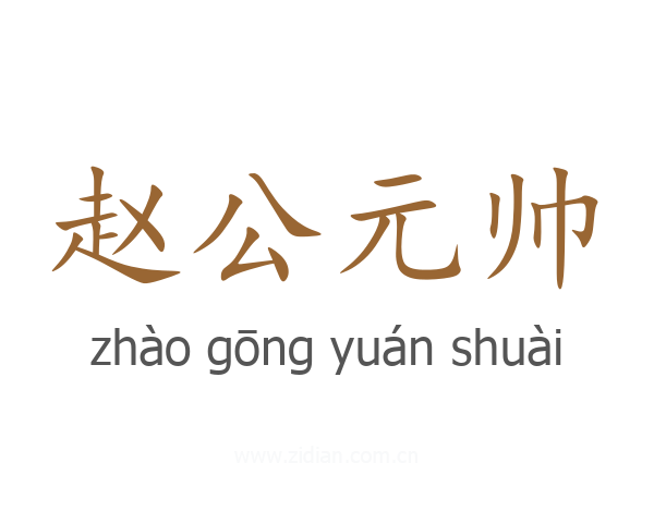 赵公元帅