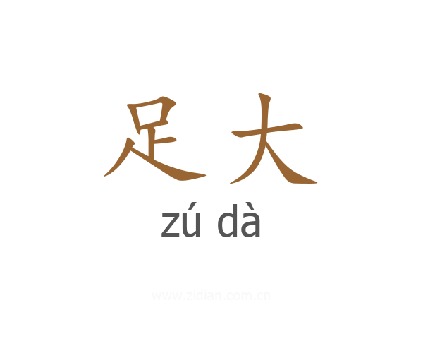 足大