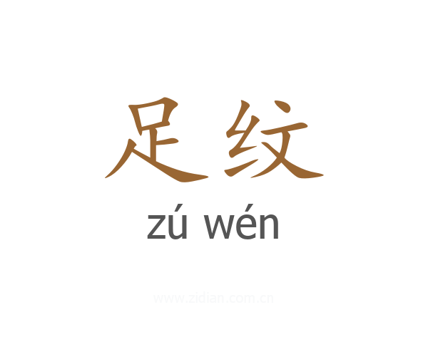 足纹