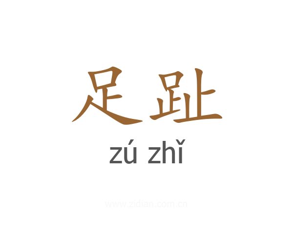 足趾