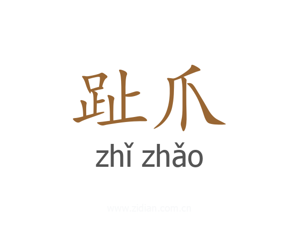 趾爪