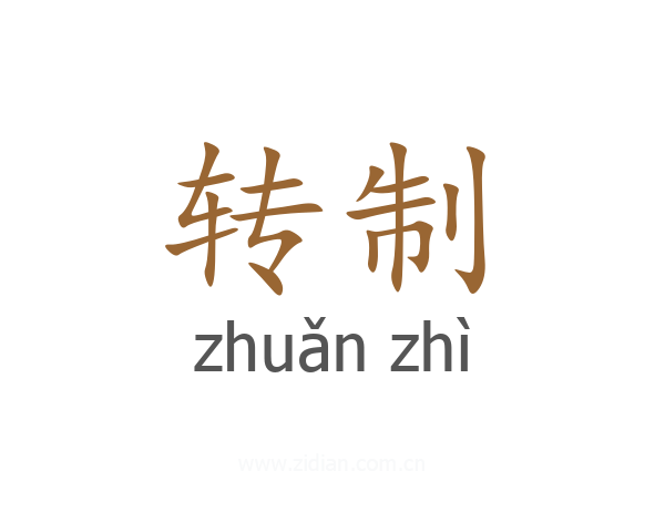 转制