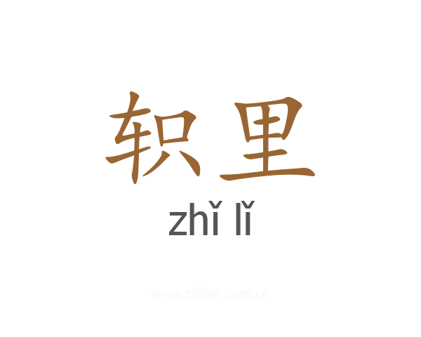 轵里