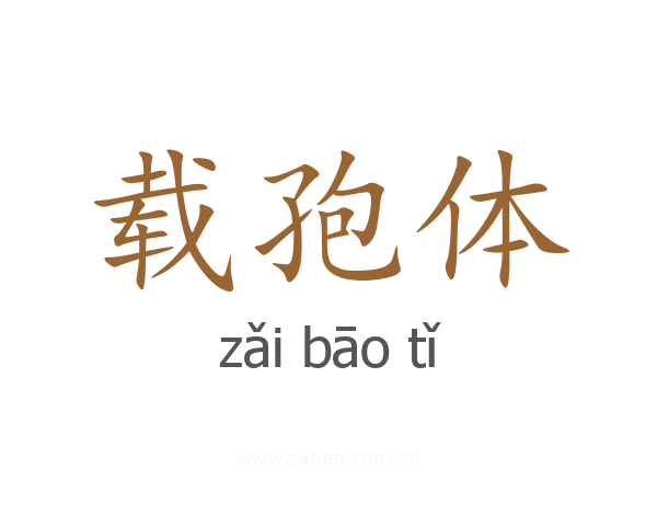 载孢体