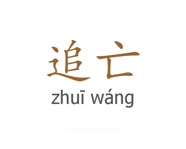 追亡
