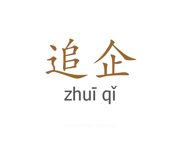 追企
