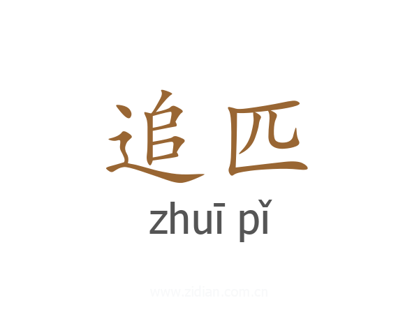 追匹