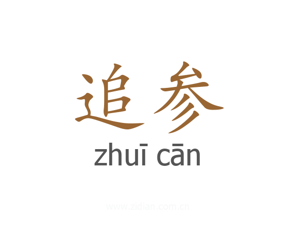 追参
