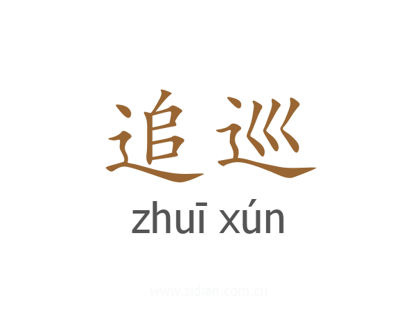 追巡