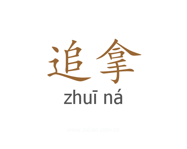 追拿