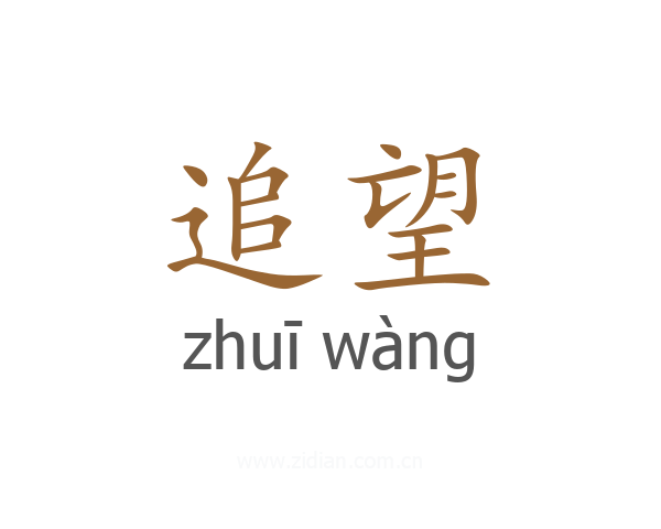追望