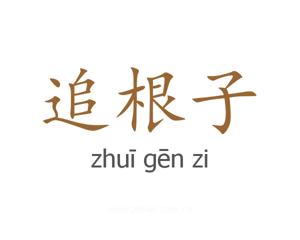追根子