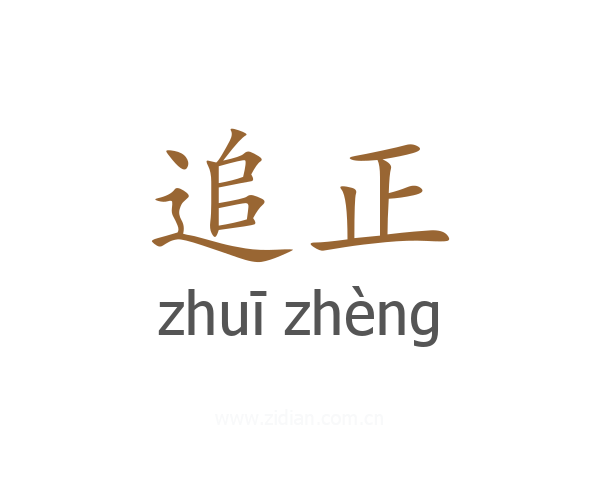 追正