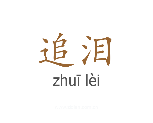 追泪