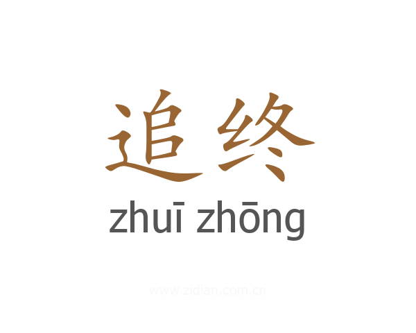 追终