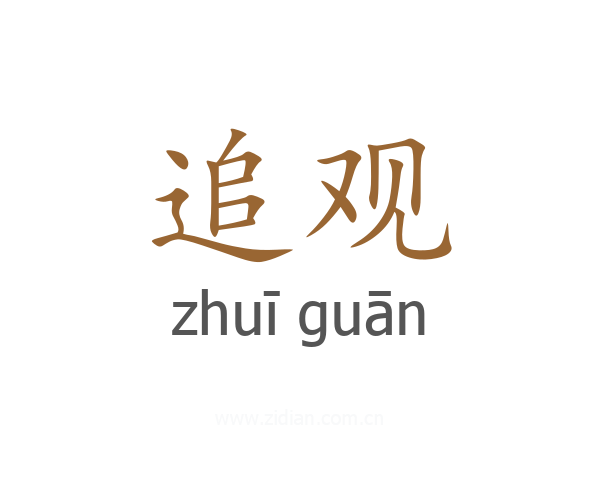 追观