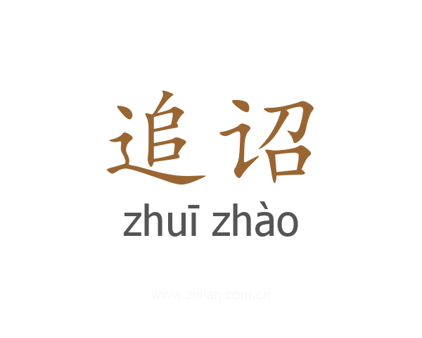 追诏
