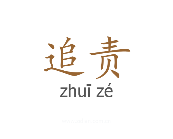 追责