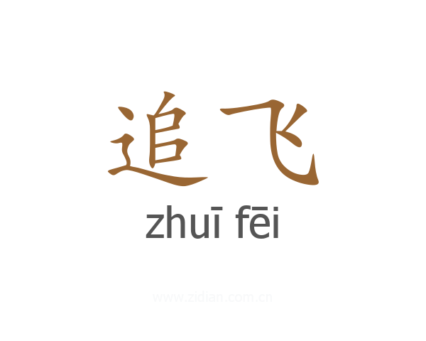 追飞