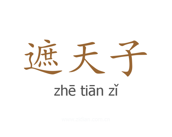 遮天子